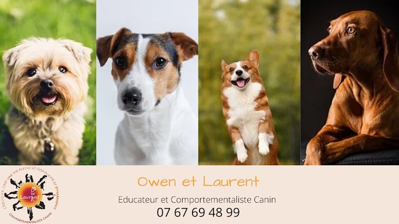 Owen et Laurent - Educateur comportementaliste canin à Châlons-en-Champagne et la Marne, 51