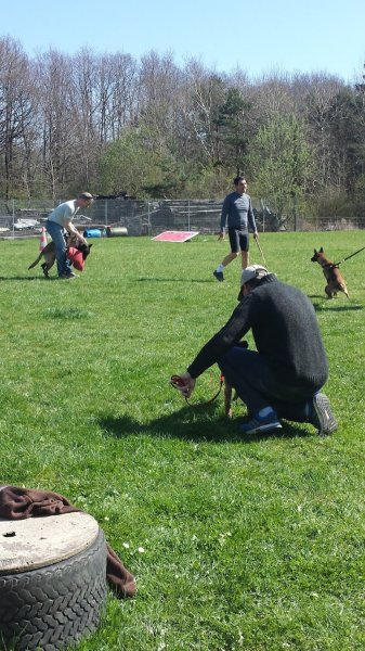 Club Cynophile Champenois de Monthelon - photo 2