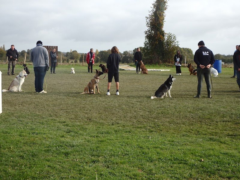 Centre canin St gilles - photo 3
