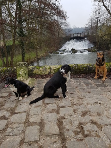 MLOcanin77 - photo 2