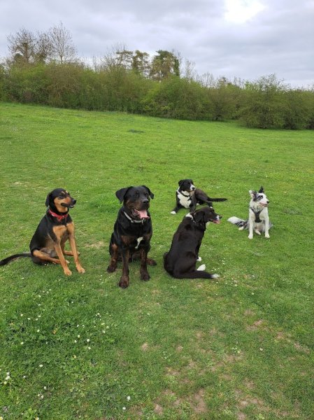 MLOcanin77 - photo 3