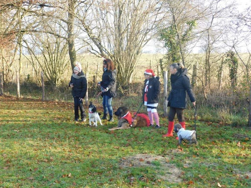 Club canin E.C.A.V 72 Education Des Chiens Actifs Et Visiteurs 72 - photo 1