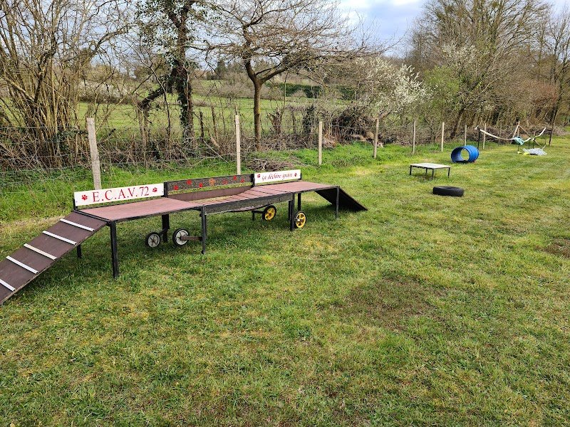 Club canin E.C.A.V 72 Education Des Chiens Actifs Et Visiteurs 72 - photo 3