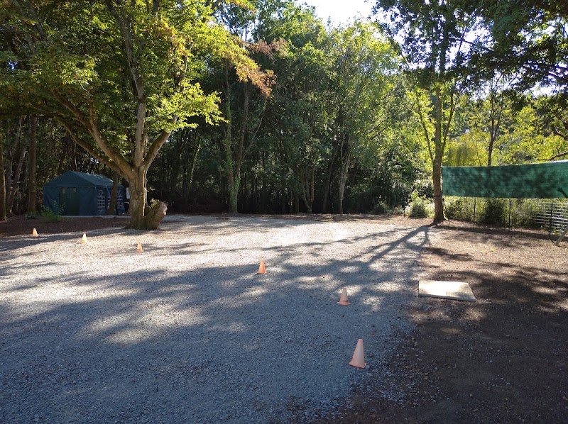 EDUCATEUR CANIN ECOUTE TON CHIEN 72 - photo 3