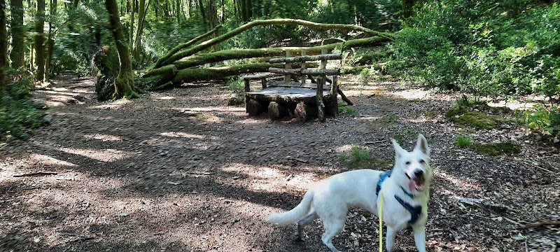 Au'tour du Chien Veronique Valy - photo 2