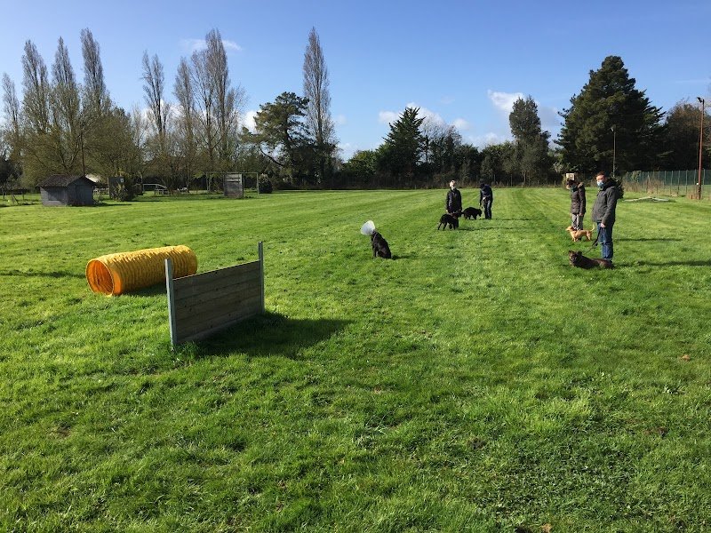 Association Fontenaisienne des amis du chien (AFAC85)