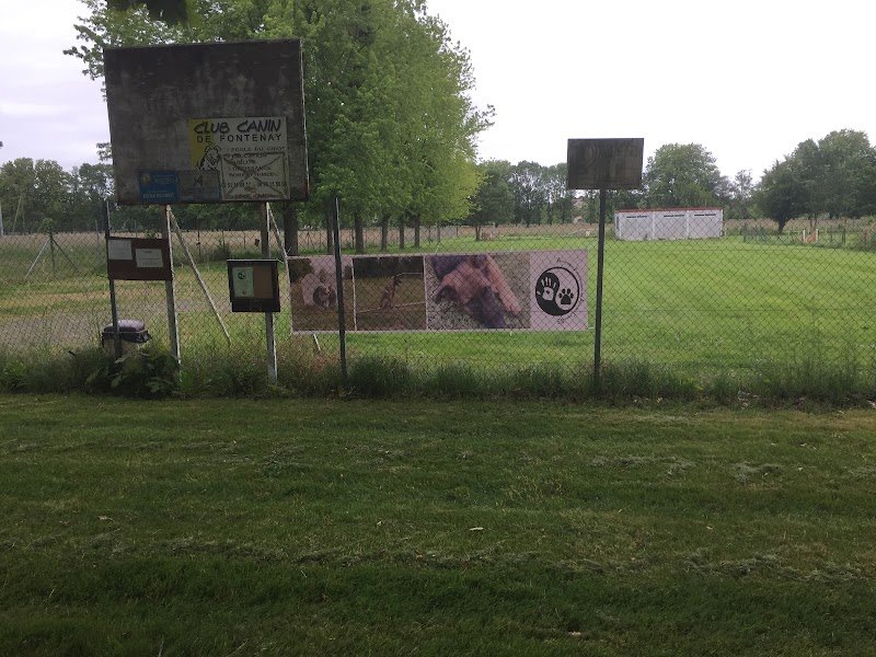 Association Fontenaisienne des amis du chien (AFAC85) - photo 2