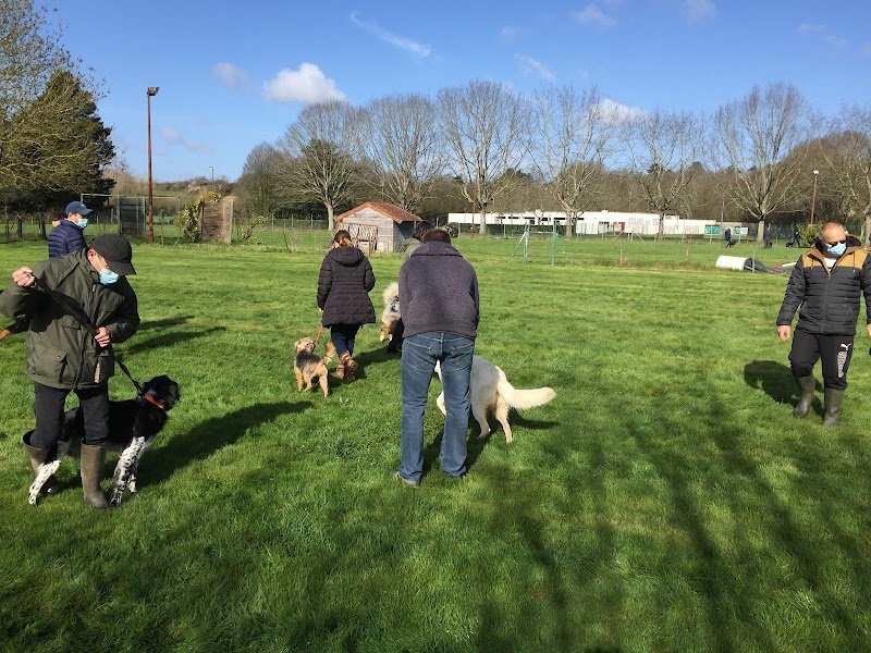 Association Fontenaisienne des amis du chien (AFAC85) - photo 3