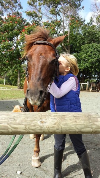 Blog, conseils sur les chiens - photo 1