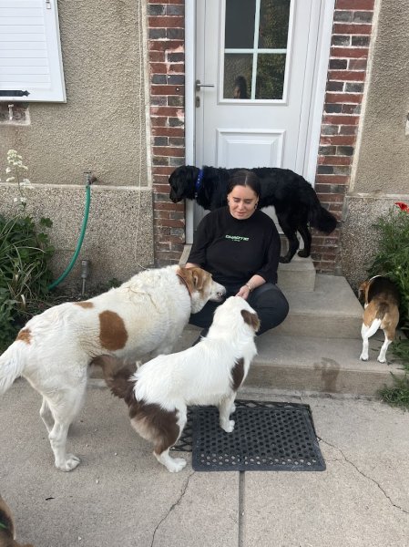 OUT DOG 89 - photo 3