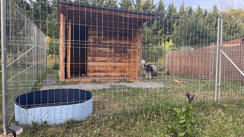 Gwenn&Cie- La Colo’ des Animaux- Pension Canine & Nac