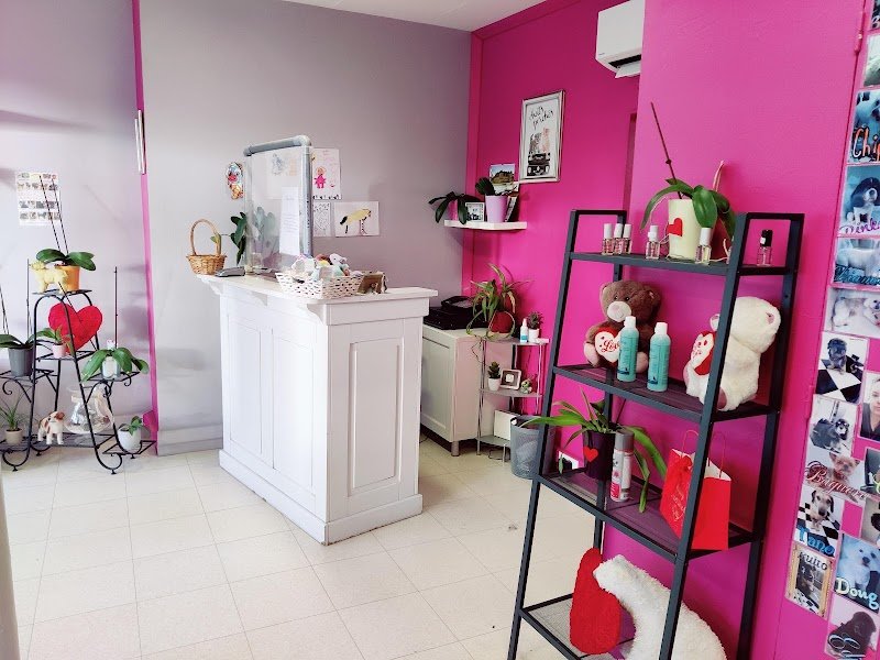 Laety'chien - photo 2