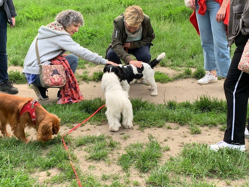 Mylène Genairon Éducateur Comportementaliste Canin - Parlez Vous Chien - photo 2