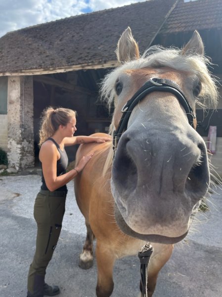 Ostéopathe animalier 89, équin, canin, félin, bovin, NAC