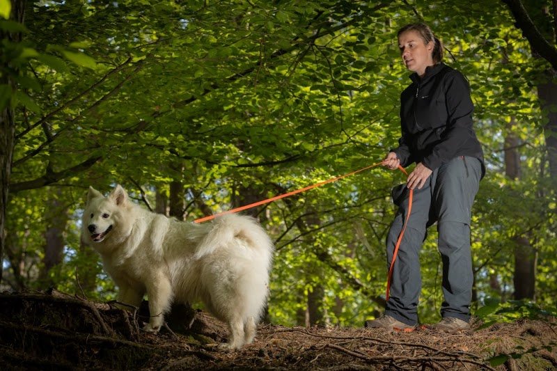 Comportementaliste canin - Karine Faucher - photo 2