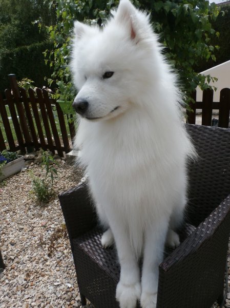 Esthétichien - photo 2