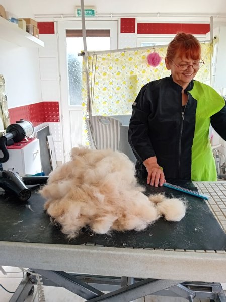 Esthétichien - photo 3