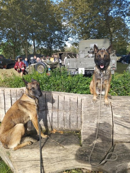 Antho Educanine - photo 2