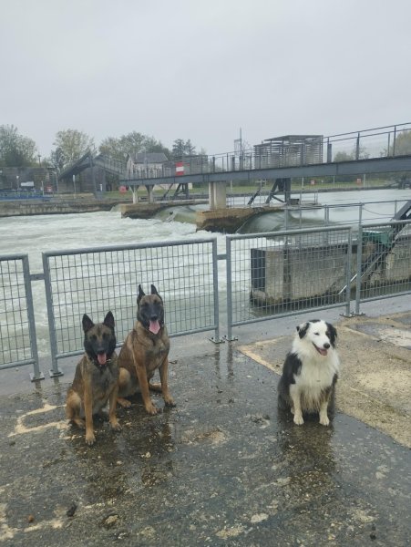 Antho Educanine - photo 3