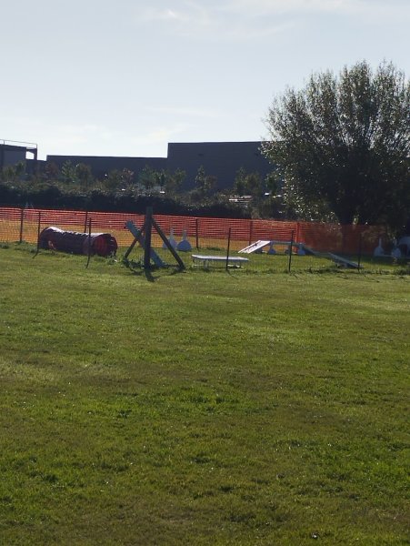 C.U.C.V.O Club d'Utilisation Cynophile de la Vallée de l'Orne - photo 2