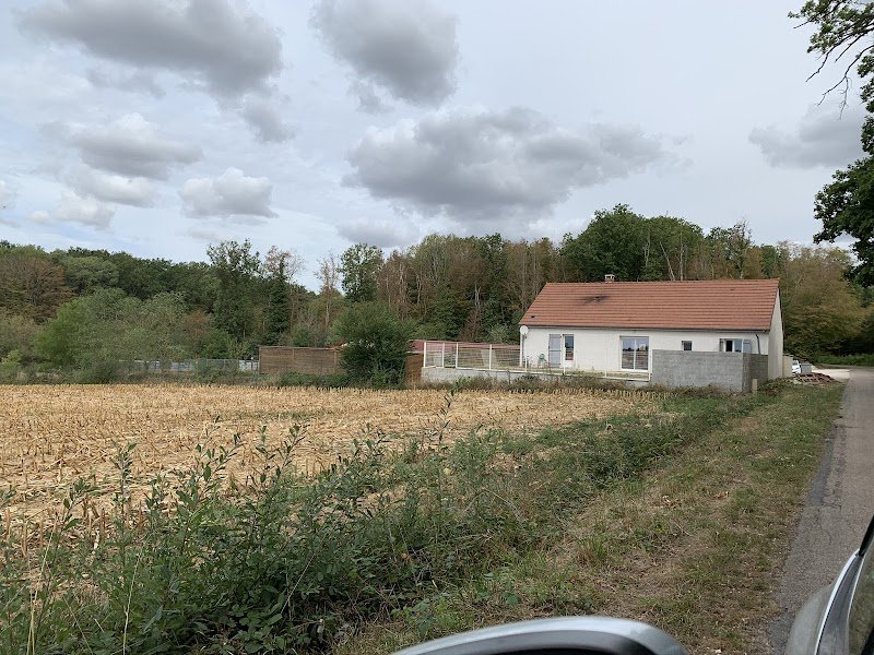 Pension canine des Horizons d'Or - photo 2