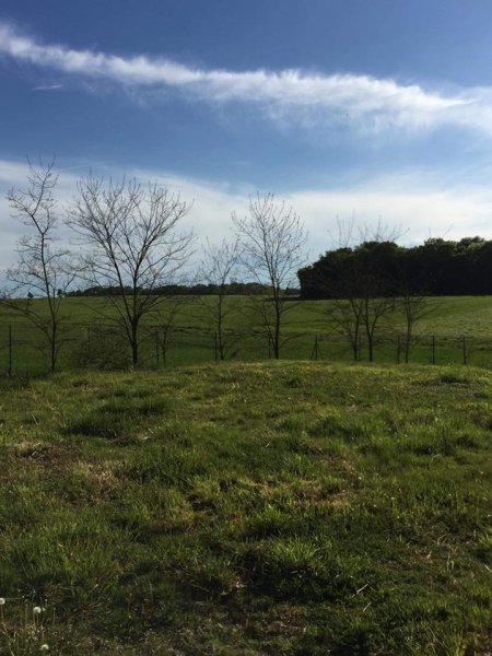 Pension canine des Horizons d'Or - photo 3