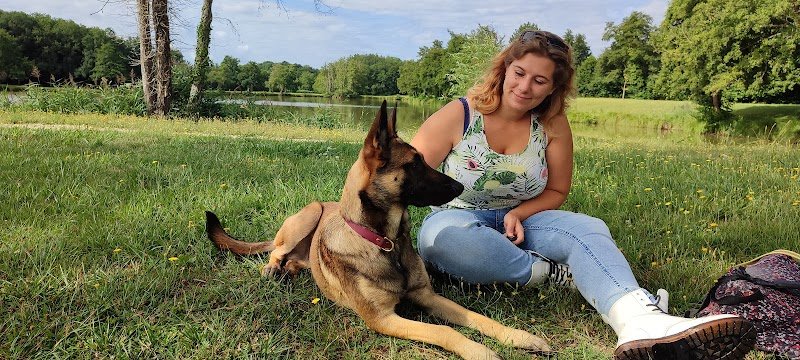 Sourire de chien - photo 2