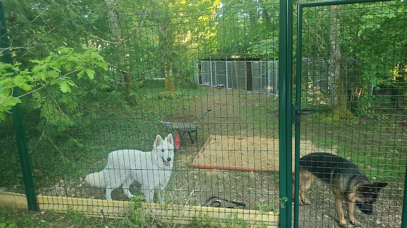 Pension pour chiens de Massangis - photo 2