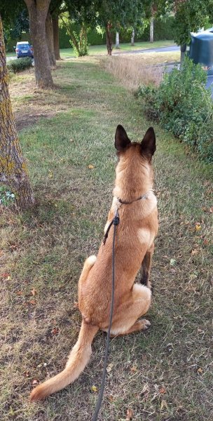 EuroCanin Professionnel - photo 1