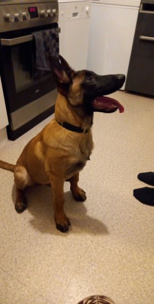 EuroCanin Professionnel - photo 2