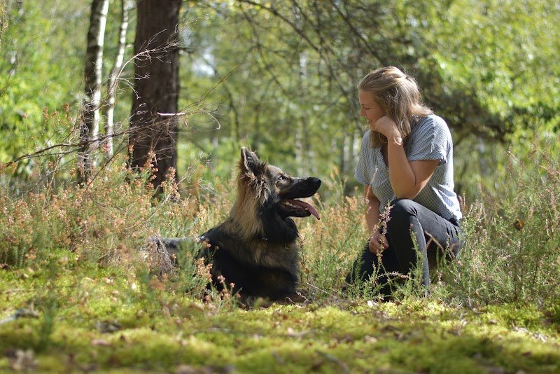 Un jour, mon chien… - Éducatrice canine et comportementaliste (45) - photo 2