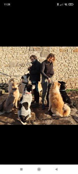 Ysakar éducation - éducateur canin - comportementaliste - Ile de France