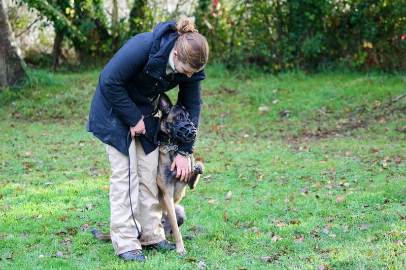 Dog Solution - photo 1