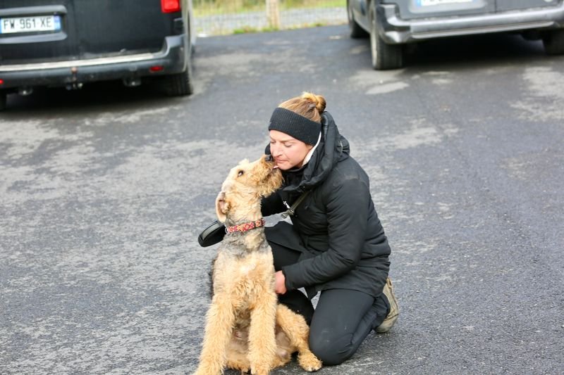 Dog Solution - photo 2