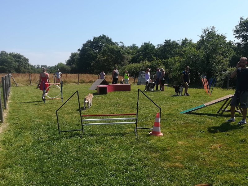 Esprit D'Chien - photo 3