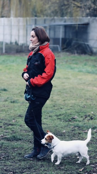 Educateur Canin Douai, Domaine Saint Martin - photo 1