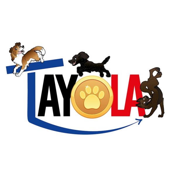 TAYOLA (Agility, Hoopers, Fitness, Education canine)