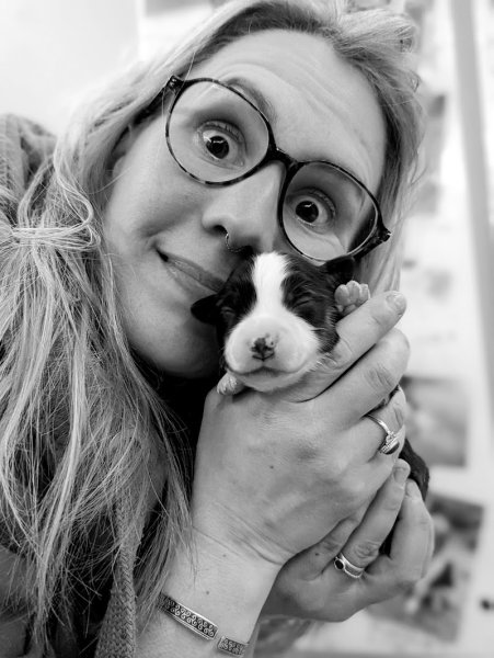 TAYOLA (Agility, Hoopers, Fitness, Education canine) - photo 2