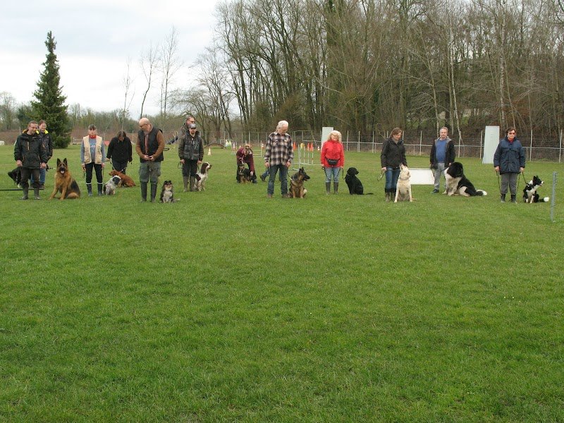 Club d'Éducation Canine de la Vallée du Rieu (CEC Quessy)