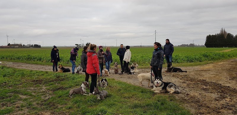 Charlène PATRAT - Education Canine