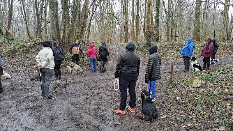 Charlène PATRAT - Education Canine - photo 2