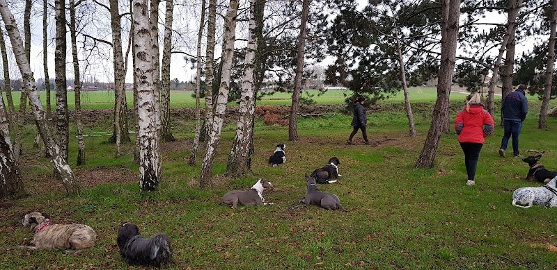 Charlène PATRAT - Education Canine - photo 3