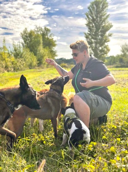 Psy-dog Educateur et comportementaliste canin