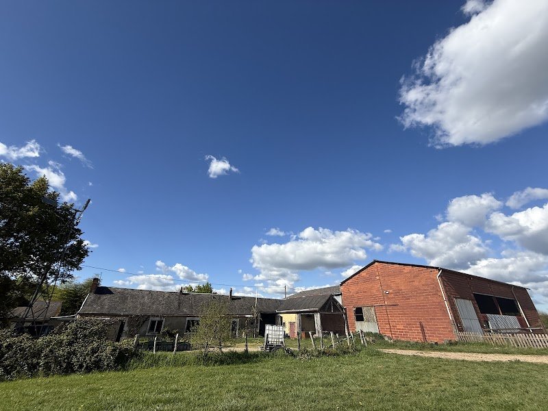 Soleil Vert - Éducation canine et dressage de chiens