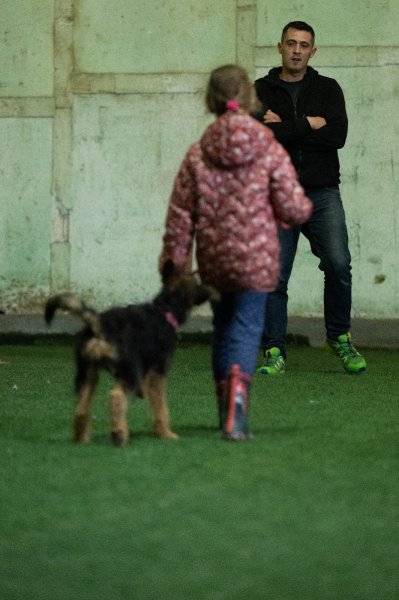 Soleil Vert - Éducation canine et dressage de chiens - photo 3