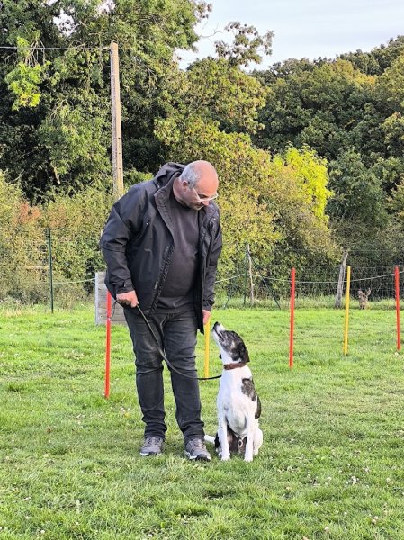 Centre d'éducation et de rééducation canine Laurent MANSAT - photo 1