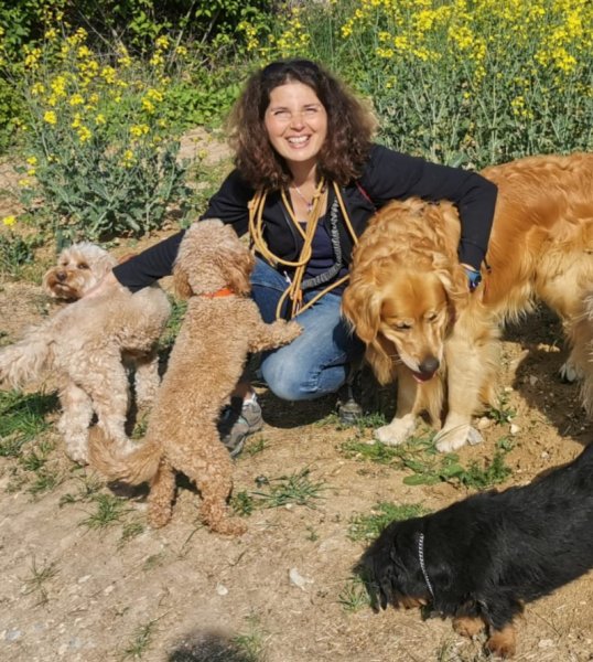 Keep Cool Dog ! - photo 1