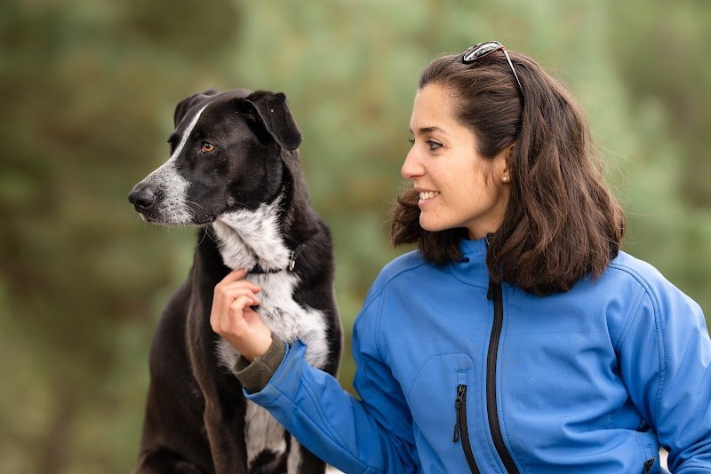 4 Pattes à modeler Education et conseils en comportement canin - Yvelines - photo 1
