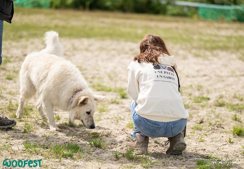 Une Patte Un Sabot • Educatrice Comportementaliste Canin - photo 3