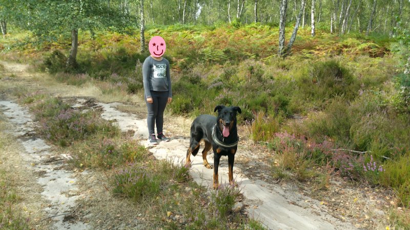 LAETICANIS - Comportementaliste canin - photo 2